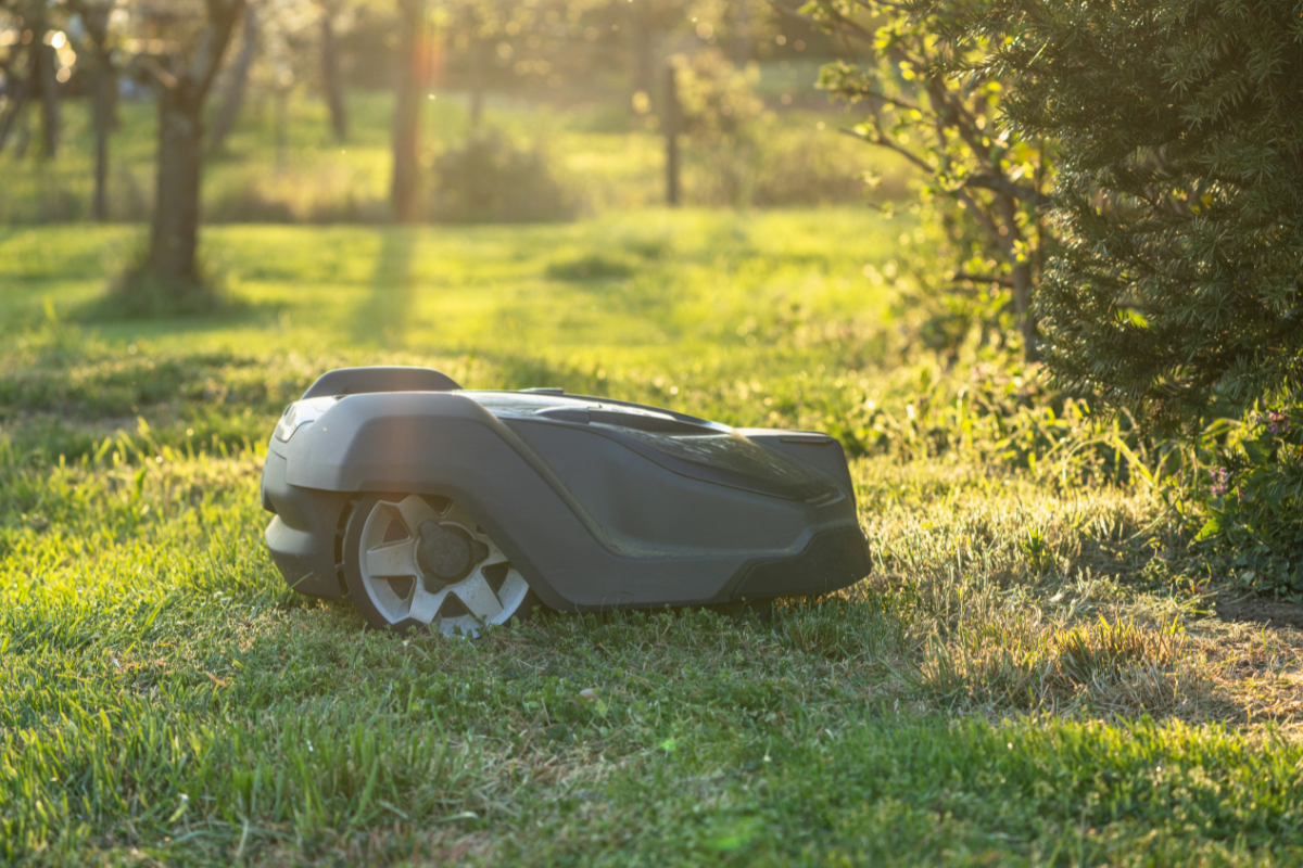 Avis robot tondeuse Husqvarna : test et performances 2026